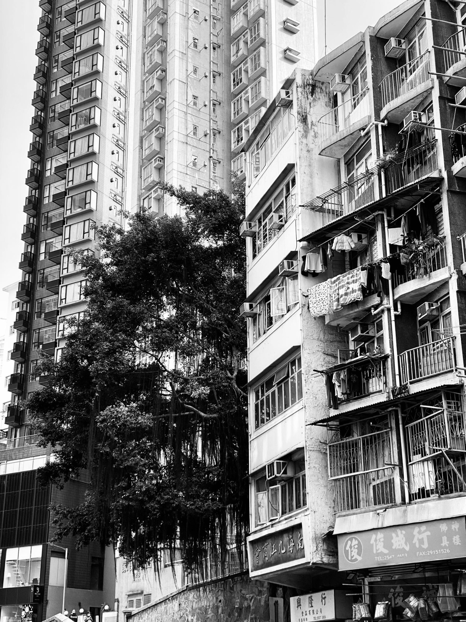Hong Kong II